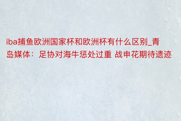 iba捕鱼欧洲国家杯和欧洲杯有什么区别_青岛媒体：足协对海牛惩处过重 战申花期待遗迹