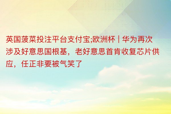 英国菠菜投注平台支付宝;欧洲杯 | 华为再次涉及好意思国根基，老好意思首肯收复芯片供应，任正非要被气笑了