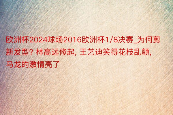 欧洲杯2024球场2016欧洲杯1/8决赛_为何剪新发型? 林高远修起, 王艺迪笑得花枝乱颤, 马龙的激情亮了