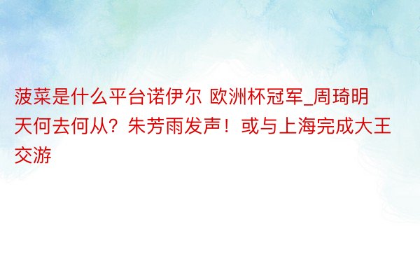 菠菜是什么平台诺伊尔 欧洲杯冠军_周琦明天何去何从？朱芳雨发声！或与上海完成大王交游