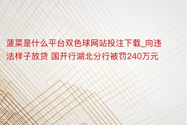 菠菜是什么平台双色球网站投注下载_向违法样子放贷 国开行湖北分行被罚240万元